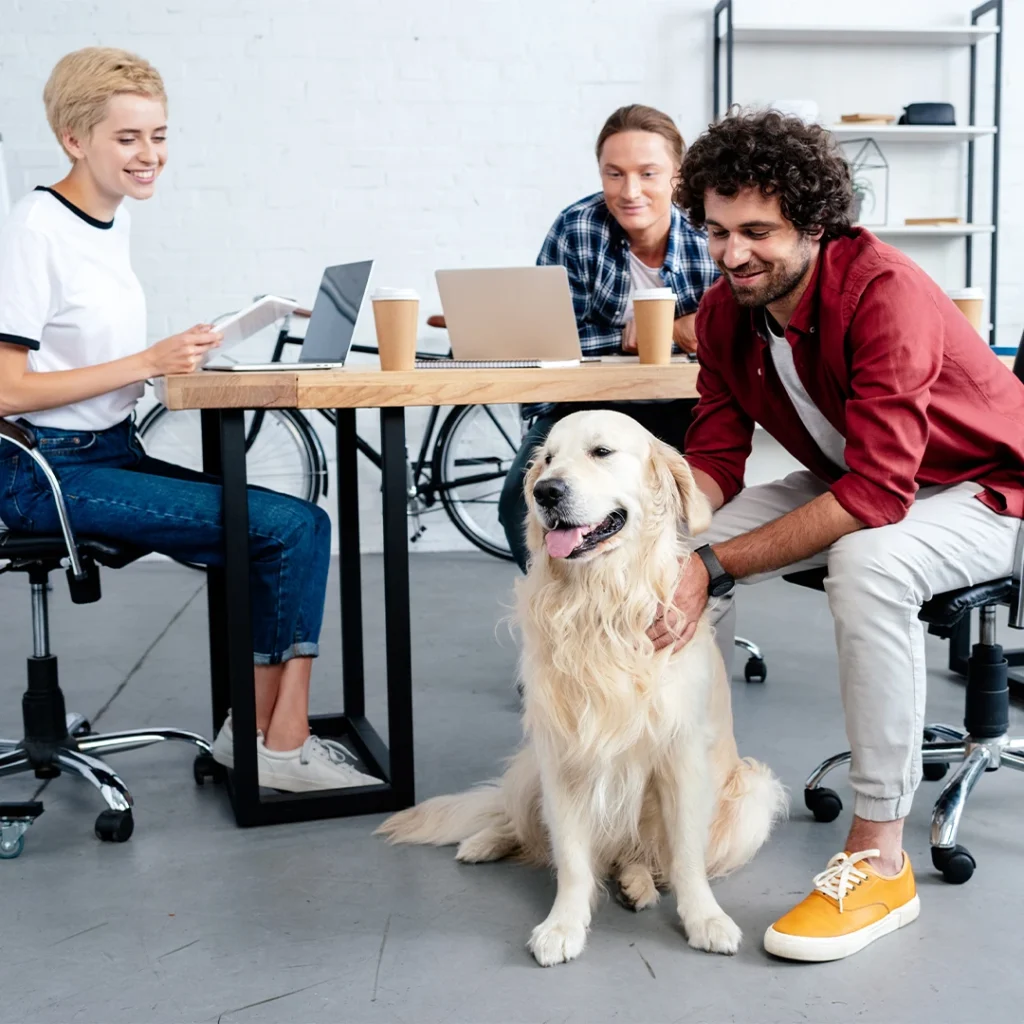 office-pet_webp_6022026147d4226259883f25cef3d930