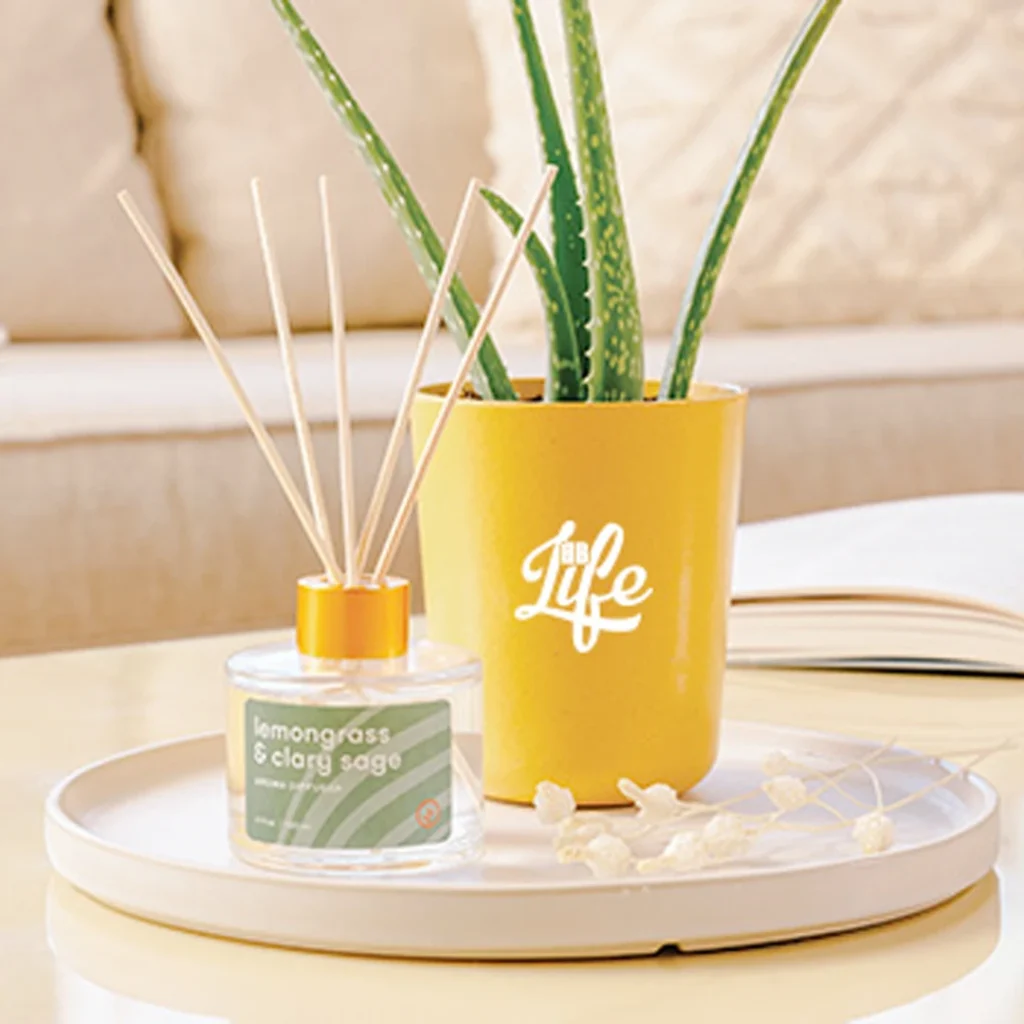 plant-and-oil-diffuser_webp_6022026147d4226259883f25cef3d930